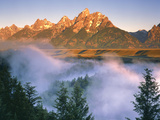 Fog over Forest with Mountain Backdrop, Grand Teton National Park, Wyoming, Usa