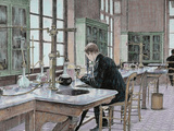 Buy French Chemist and Bacteriologist. Study of Microbes in the Pasteur Institute at AllPosters.com