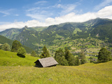 Alpine Pasture Enar Grindelwald Valley Below Eiger, Jungfrau Region, Switzerland