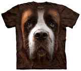 St Bernard Face