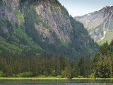 Walker Cove Area of Misty Fjords National Monument Wilderness Area, Alaska