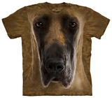 Great Dane Face