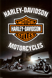 Harley Davidson - Leather