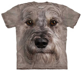 Miniature Schnauzer Face