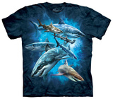 Shark Collage