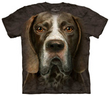 German Shorthaired Pointer