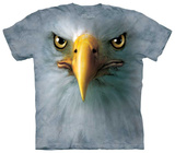 Buy Eagle Face at AllPosters.com
