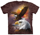 Eagle & Clouds