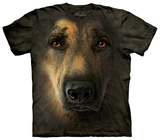 German Shepherd Portrait