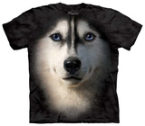 Siberian Face