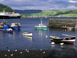 Harbor and Caledonian-Macbrayne Ferry, Oban, Scotland