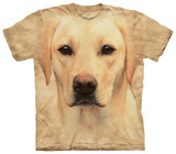 Yellow Lab Portrait
