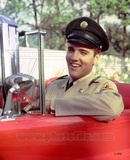 Elvis