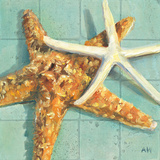 Starfish I