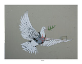 Buy Bulletproof Dove at AllPosters.com