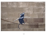 Buy Acro-Rat at AllPosters.com