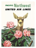 United Air Lines: Pacific Northwest, c.1960s
