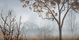 Buy Early Morning Mist I at AllPosters.com