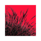 Buy Grass (red), c.2011 at AllPosters.com