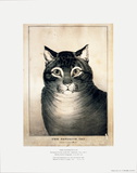 Buy The Favorite Cat at AllPosters.com