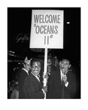 Oceans 11 Premier