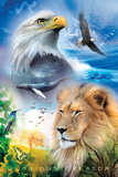 Creation