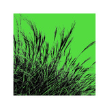 Buy Grass (green), c.2011 at AllPosters.com