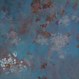 2009-06