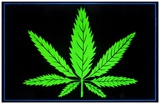 Leaf Blacklight Poster