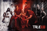 True Blood - True Colors
