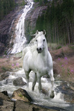 Bob Langrish-Waterfall Poster