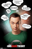 Big Bang Theory - Quotes