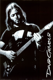 Pink Floyd (David Gilmour) Music Poster Print Poster