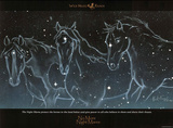 Buy No More Night Mares Horses in Stars Art Print Poster at AllPosters.com