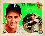 Ted Williams 2012 Studio Plus