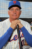 Port St. Lucie, FL - March 02: New York Mets Photo Day - Juan Lagares
