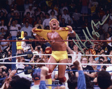 Buy Hulk Hogan - Hulkamania at AllPosters.com