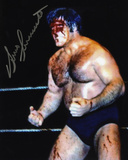 Buy Bruno Sammartino WWWF - Blood at AllPosters.com