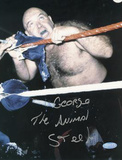 Buy George "The Animal" Steele Biting Rope Photo at AllPosters.com