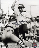Bobby Molinaro Chicago White Sox Autographed Photo (Hand Signed Collectable)