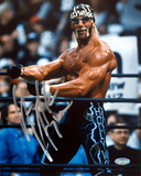 Buy Hollywood Hulk Hogan Flexing Vertical at AllPosters.com