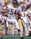 Brian Urlacher Chicago Bears