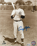 Andy Pafko Chicago Cubs Autographed Photo (Hand Signed Collectable)