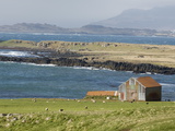 South Coast Near Breiddalswik, Iceland, Polar Regions