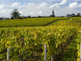 Vineyards, St. Emilion, Gironde, France, Europe