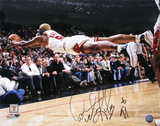 Dennis Rodman Chicago Bulls