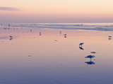 Buy Huntington Beach, California, United States of America, North America at AllPosters.com