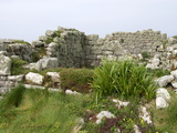 Old Abandoned Housing on Samson, Isles of Scilly, United Kingdom, Europe