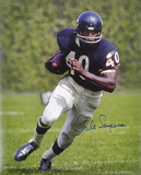 Gale Sayers Chicago Bears