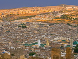 Old Medina of Fez, UNESCO World Heritage Site, Morocco, North Africa, Africa